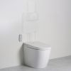 Argent Evo Wall Faced Smart Toilet System